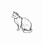 Artistic Cat Sketch