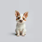 Charming Animal Portraits