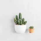 Cactus Garden Artwork