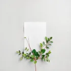 Lush Greenery Prints
