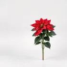 Artificial Poinsettia Plant