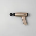 Ashford Advanced Massage Gun — 4kg