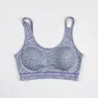 Seamless Sports Bra