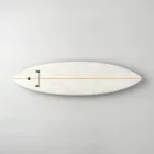 All-Terrain Surfboard