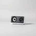 Compact Desktop Speakers