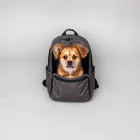 Dog Carrier Backpack