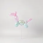 Balloon Animal Kit
