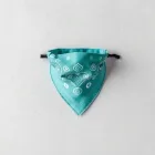 Pet Cooling Bandana