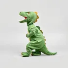 Baby Dinosaur Costume