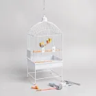 Bird Cage with Accessories