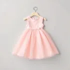 Baby Girl Party Dress