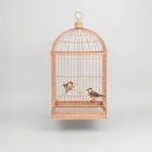Bird Cage Accessories Set