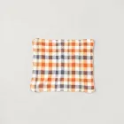 Unisex Baby Picnic Blanket
