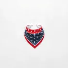 Baby Bandana Bib