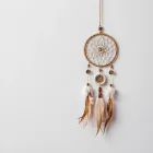 Bohemian Dreamcatcher Case