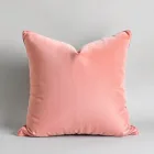 Soft Velvet Decorative Pillow