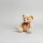 Plush Teddy Bear
