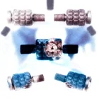 Beaumont Signature Ab Roller — 5-Pack