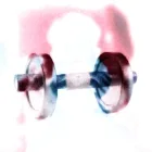 Beaumont Premier Ab Roller — 10mm