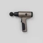 Beaumont Advanced Massage Gun — 4kg