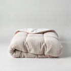 Cozy Microfiber Comforter