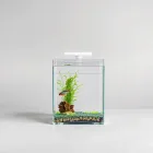 Betta Habitat Complete Kit