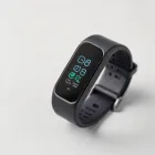 BodyFit Tracker