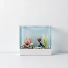 Aquarium Background Picture