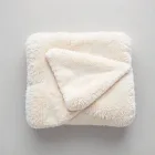 Soft Plush Throw Blanket