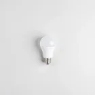 Smart LED Light Bulbs