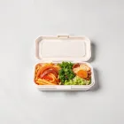 Bento Lunch Box