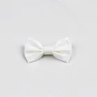 Ivory Bow Tie
