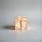 Lighted Gift Box Set