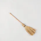 Broomstick Photo Prop