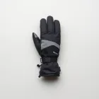 Blizzard Pro Ski and Snowboard Gloves