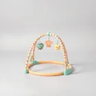 Baby Musical Play Gym