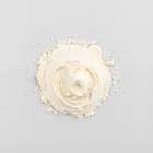Bulk Protein Powder