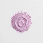 Blueberry Protein Powder