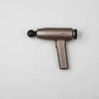 Brynmore Signature Massage Gun — 4kg