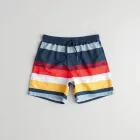 Bold Stripe Swim Trunks