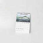Fishing Season Calendar