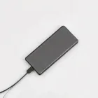 2-in-1 Charger and Power Bank
