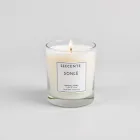 Scented Soy Candles