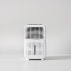 Compact Air Purifier