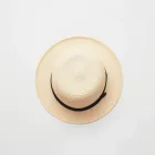 Summer Straw Fedora