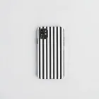 Snazzy Stripe Case