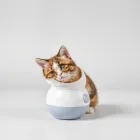 Interactive Cat Toy