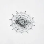 Creepy Cobwebs