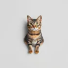 Cool Cat Vintage T-Shirt