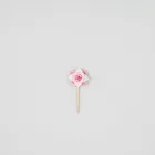 Floral Cake Toppers